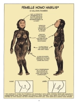 Incroyable histoire du sexe En Occident : page 9