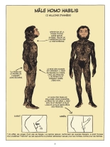 Incroyable histoire du sexe En Occident : page 10