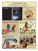 Incroyable histoire du sexe En Occident : page 38