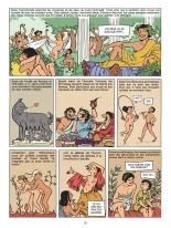 Incroyable histoire du sexe En Occident : page 71