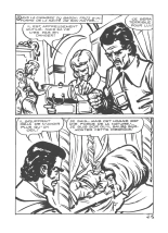 Isabella 002 - l'implacable vengeance : page 29