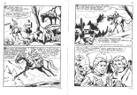 Isabella 056 - La crinière d'argent : page 39