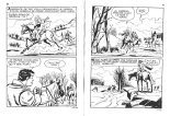 Isabella 056 - La crinière d'argent : page 46