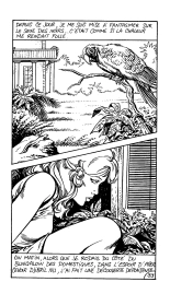 J‘ai découvert l‘amour en Afrique : page 37