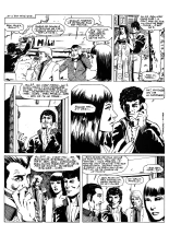 Janssens & Wilber & Tom Hawkee - Jules & Marco dans : Joop le Hollandais : page 29