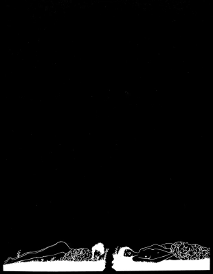 hentai Journal intime