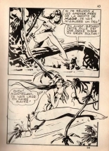 Jungla 007 - Le sang des géants : page 42