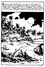 Jungla 27 - Le gorille blanc : page 2