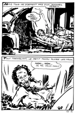 Jungla 27 - Le gorille blanc : page 3