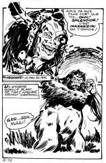 Jungla 27 - Le gorille blanc : page 27