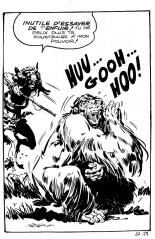 Jungla 27 - Le gorille blanc : page 28