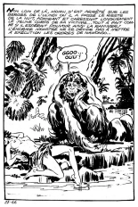Jungla 27 - Le gorille blanc : page 67