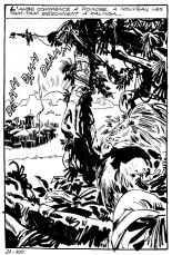 Jungla 27 - Le gorille blanc : page 101