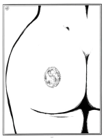 Justine & Histoire D\'O - Integrale : page 300