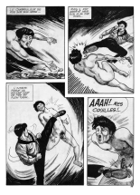 Kim Ngoc - Le Cambrioleur : page 29