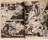 La derniere des amazones : page 3