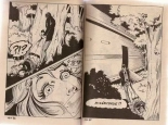 La derniere des amazones : page 4