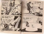 La derniere des amazones : page 5