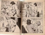 La derniere des amazones : page 13
