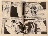 La derniere des amazones : page 25