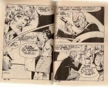 La derniere des amazones : page 27