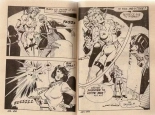 La derniere des amazones : page 29