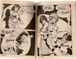 La derniere des amazones : page 31