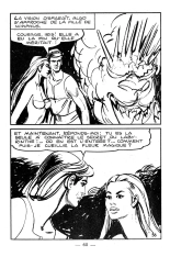 La fleur de la vie : page 60