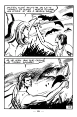 La fleur de la vie : page 114