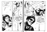 La mort d'un reporter : page 13