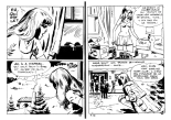 La mort d'un reporter : page 21