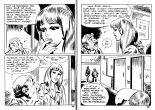 La mort d'un reporter : page 33