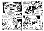 La mort d'un reporter : page 35