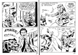La mort d'un reporter : page 42