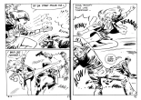 La mort d'un reporter : page 43