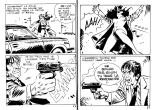 La mort d'un reporter : page 44