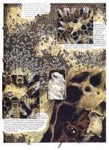 La Petite Reine : page 6