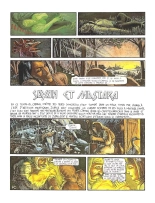 La Saga de Vam - T01 - Le pouvoir d'Ormag : page 33