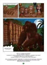 L’île mystérieuse : page 64