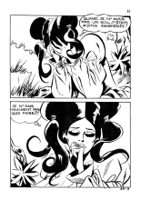 L'art et la maniere de s'en servir : page 13
