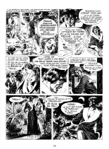 Le bâtard de Vénus : page 23