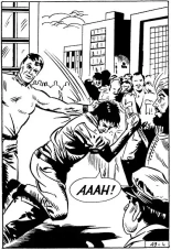 Le cheik en bois : page 7