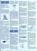 Le Cycle De Cyann - HS - la clé des confins : page 34
