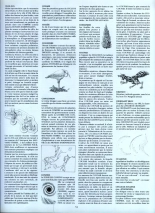 Le Cycle De Cyann - HS - la clé des confins : page 36