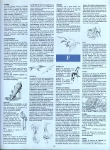 Le Cycle De Cyann - HS - la clé des confins : page 38