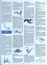 Le Cycle De Cyann - HS - la clé des confins : page 42