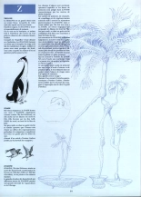 Le Cycle De Cyann - HS - la clé des confins : page 47