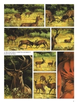 Le dernier brame : page 7