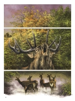 Le dernier brame : page 16