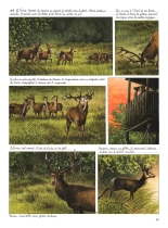 Le dernier brame : page 45